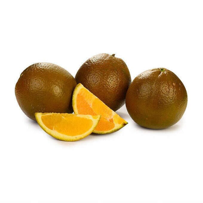 Schokoladen-Navelorangen – Exklusive Zitrusfrüchte Obst Obstwelt 