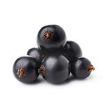 Schwarze Johannisbeerpüree von PONTHIER – Herb & intensiv für Dessert & Bar Fruchtpüree Obstwelt 