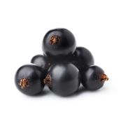 Schwarze Johannisbeerpüree von PONTHIER – Herb & intensiv für Dessert & Bar Fruchtpüree Obstwelt 