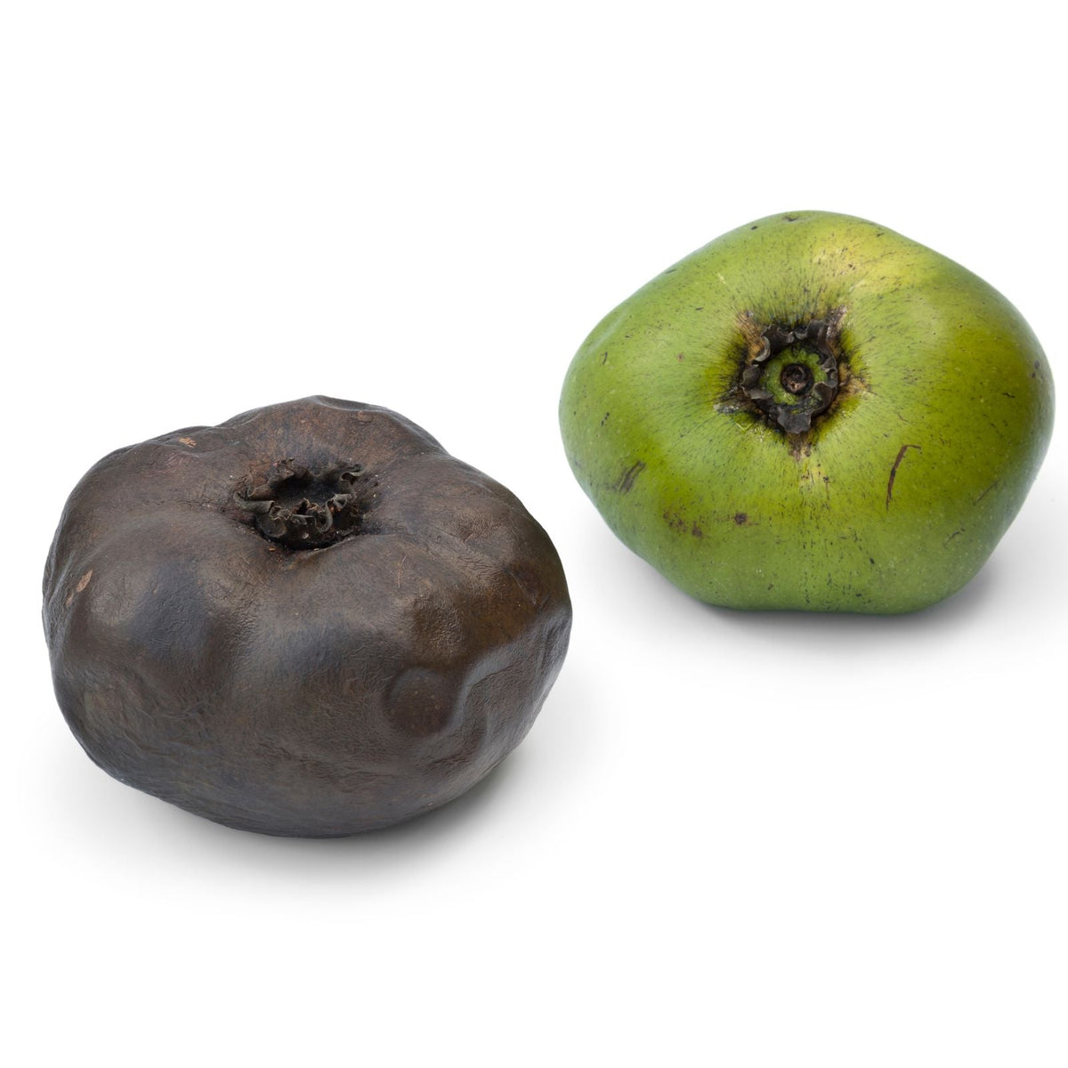 Schwarze Sapote – exotische Schokoladenpudding-Frucht mit cremigem Fruchtfleisch Exoten Obstwelt 