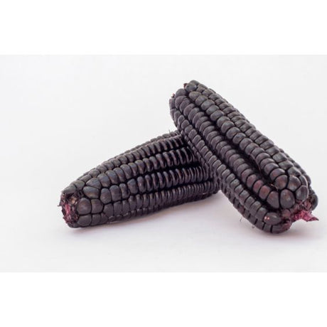 Schwarzer Mais (Maíz Morado) – Antioxidantienreicher Inka-Klassiker Exoten Obstwelt 