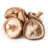 Shiitake Pilze – Aromatische Asia-Delikatesse mit Umami-Kick Pilze Obstwelt 