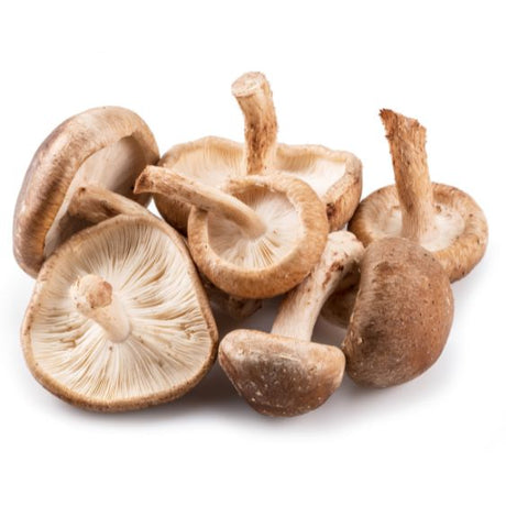 Shiitake Pilze – Aromatische Asia-Delikatesse mit Umami-Kick Pilze Obstwelt 