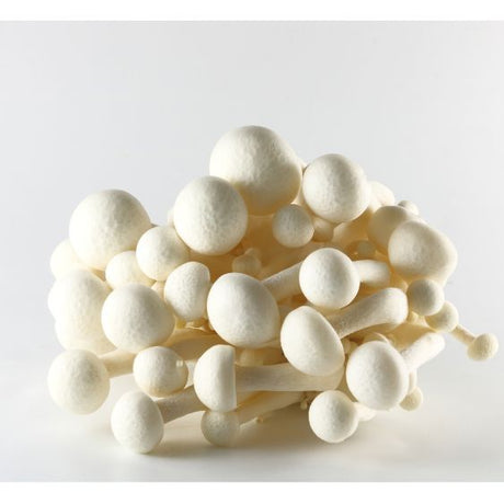 Shimeji Weiß – Zarte Edelpilze mit mild-nussigem Aroma Pilze Obstwelt 