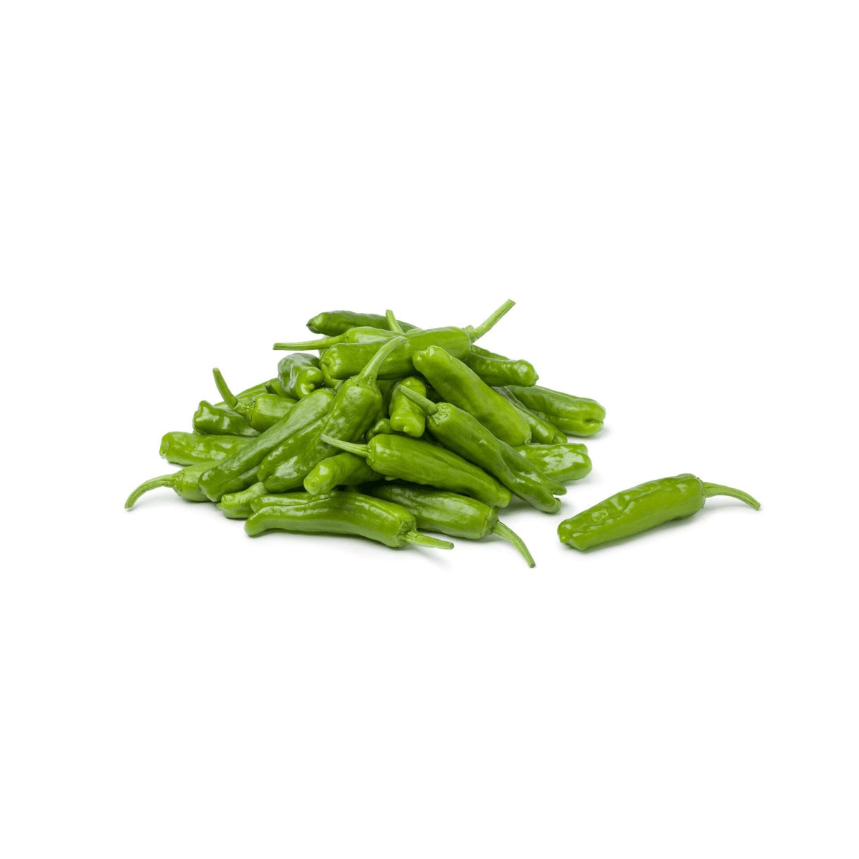 Shishito Paprika – Mild-aromatische Paprika Gemüse Obstwelt 