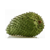 Stachelannone (Sauersack) – Tropenfrucht mit cremig-säuerlichem Aroma Exoten Obstwelt 