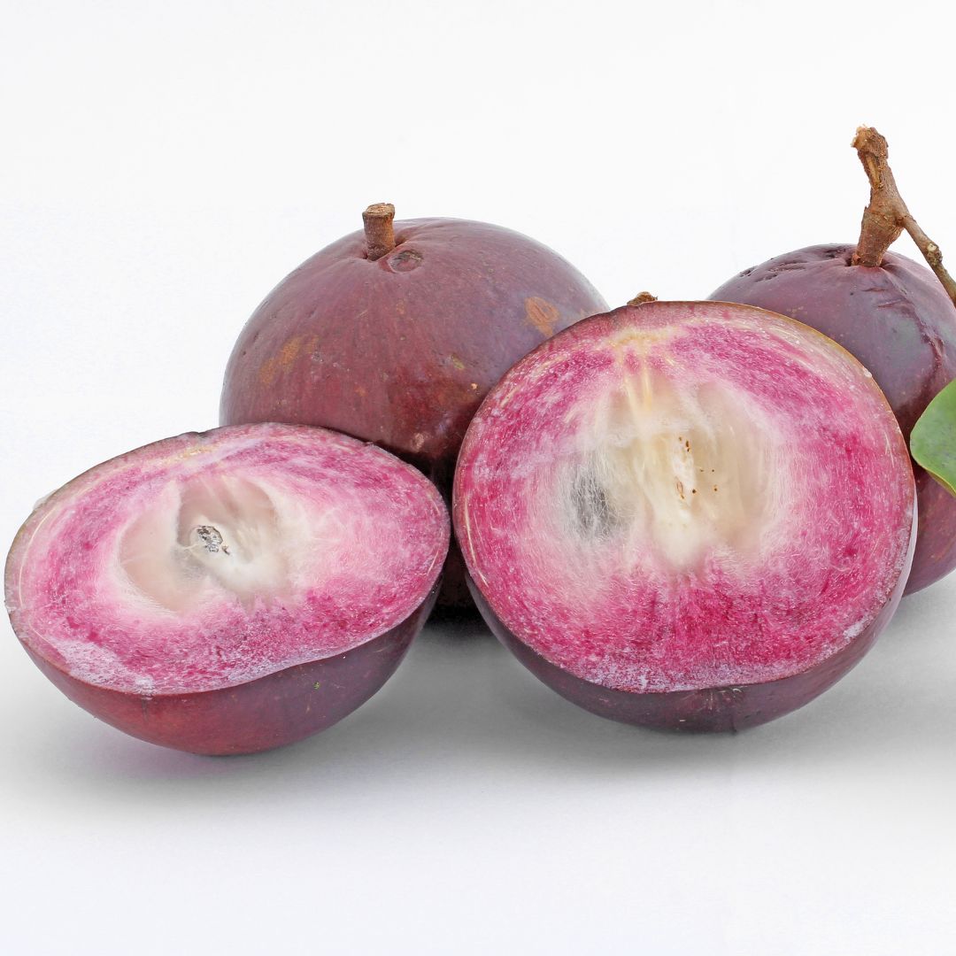 Sternapfel (Milchfrucht) – ein cremiger Genuss Exoten Obstwelt 