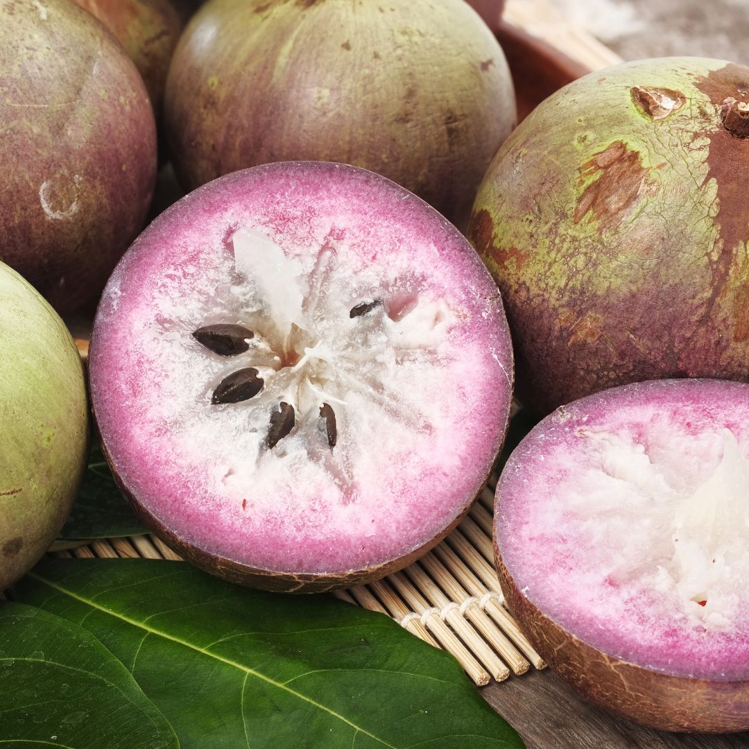 Sternapfel (Milchfrucht) – ein cremiger Genuss Exoten Obstwelt 