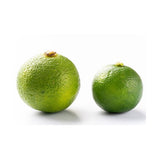 Sudachi Limette – Japanische Zitrus-Rarität mit frischer Säure Exoten Obstwelt 