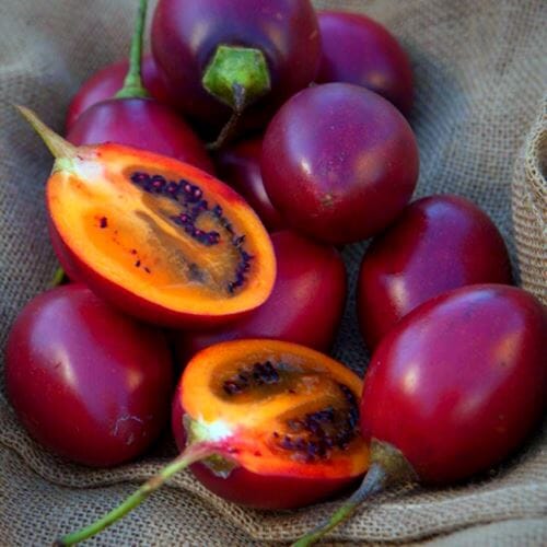 Tamarillo – Exotische Frucht Exoten Obstwelt 