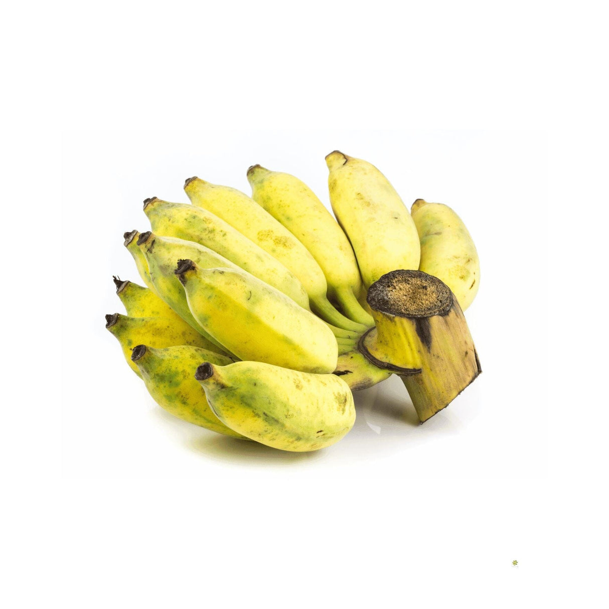 Thai Bananen Exoten Obstwelt 