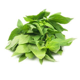 Thai-Basilikum – Exotisches Kraut Gewürz Obstwelt 