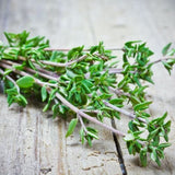 Thymian – Würziges Kraut Gewürz Obstwelt 