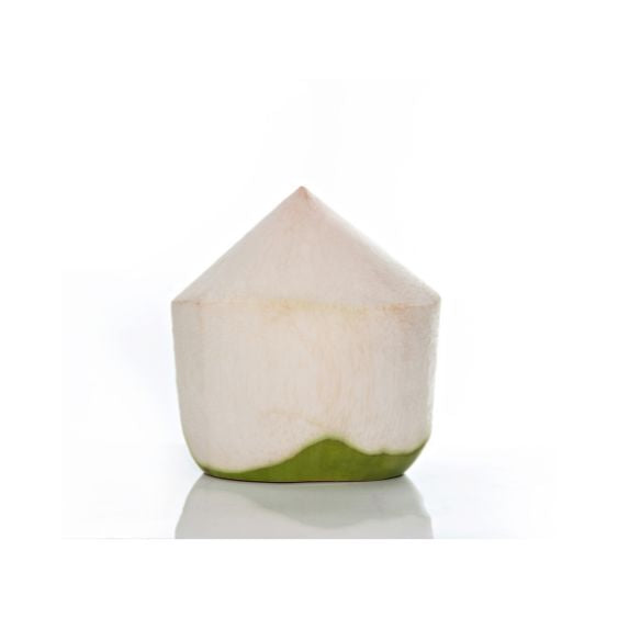 Trinkkokosnuss – Frisches Kokoswasser direkt aus der jungen Nuss Exoten Obstwelt 