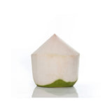 Trinkkokosnuss – Frisches Kokoswasser direkt aus der jungen Nuss Exoten Obstwelt 