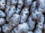Truffe de Chine (Vitelotte) – Edle violette Kartoffel mit Biss Gemüse Obstwelt 