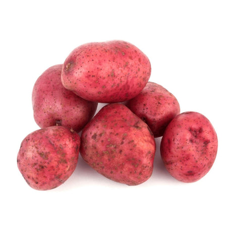 Valery Rote Kartoffeln – Nussige Kartoffeln Gemüse Obstwelt 
