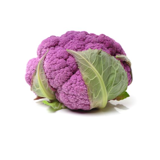 Violetter Blumenkohl – Farbintensives Gemüse mit mildem Aroma Gemüse Obstwelt 