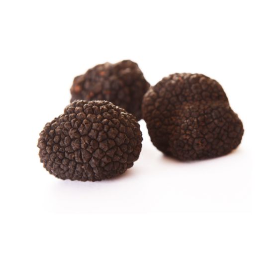 Wintertrüffel – Edle schwarze Trüffel für Feinschmecker & Gourmets Pilze Obstwelt 