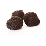 Wintertrüffel – Edle schwarze Trüffel für Feinschmecker & Gourmets Pilze Obstwelt 