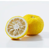 Yuzu Püree von PONTHIER – Japanische Zitruspower für Bar & Küche Fruchtpüree Obstwelt 