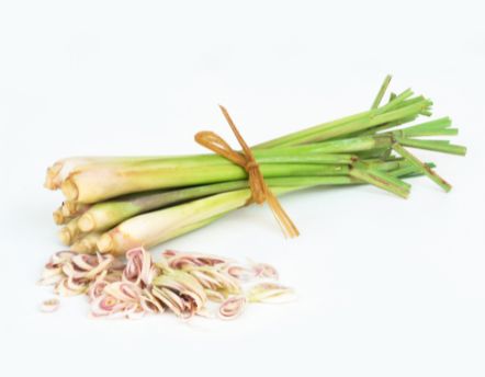 Zitronengras – Frisches Asia-Aroma für Currys, Tees & Suppen Gewürz Obstwelt 
