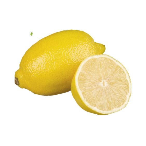 Zitronenpüree von PONTHIER – Reine Zitrusfrische für Bar & Küche Fruchtpüree Obstwelt 