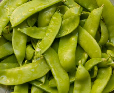 Zuckerschoten – Knackig-süß & zart für Wok, Salat & Dampfgarer Gemüse Obstwelt 